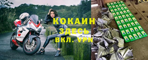 прущие крисы Кодинск