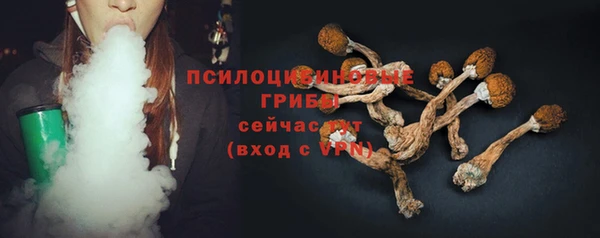прущие крисы Кодинск