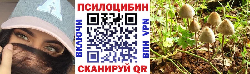 ОМГ ОМГ   Северодвинск  Псилоцибиновые грибы Magic Shrooms 