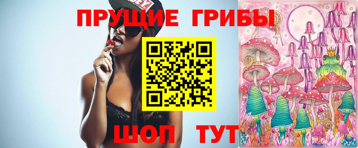 Северодвинск  Галлюциногенные грибы мухоморы  Вход с VPN 