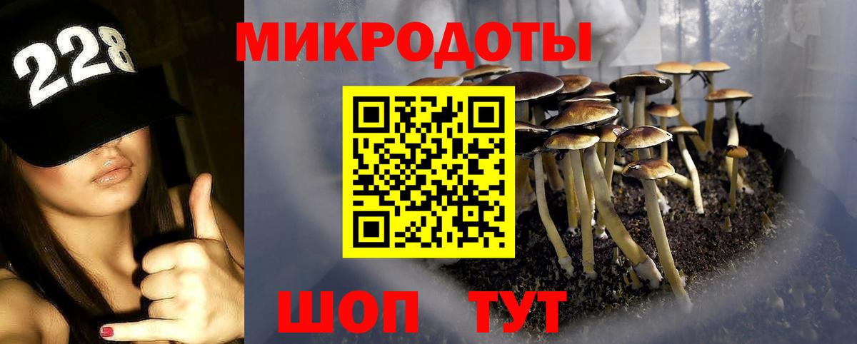 где купить наркоту  Галлюциногенные грибы Magic Shrooms  Северодвинск  Псилоцибиновые грибы прущие грибы 